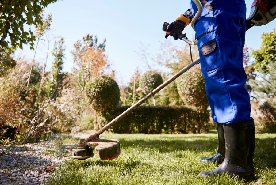 Best Landscaping Services for Nashville Homeowners