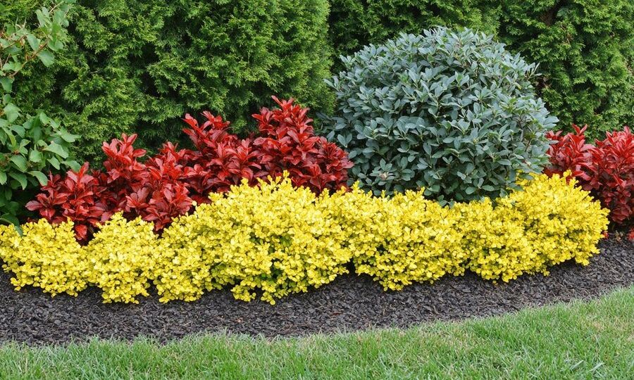 Best Shrubs and Trees for Nashville Landscapes