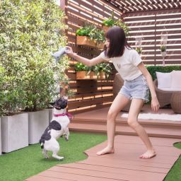 Designing a Pet-Friendly Yard in Nashville