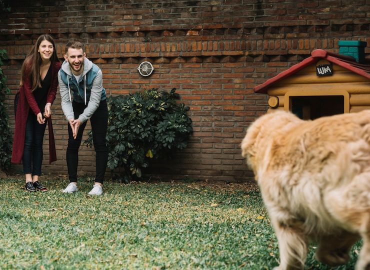 Designing a Pet-Friendly Yard in Nashville