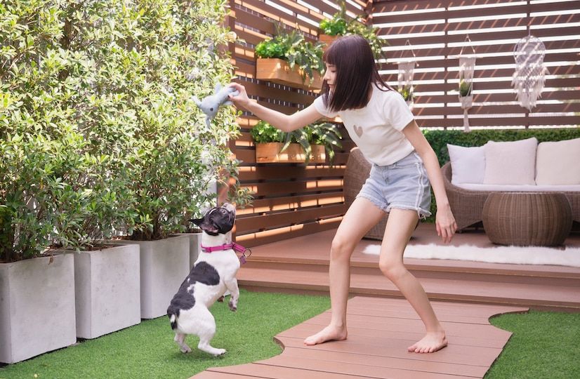 Designing a Pet-Friendly Yard in Nashville