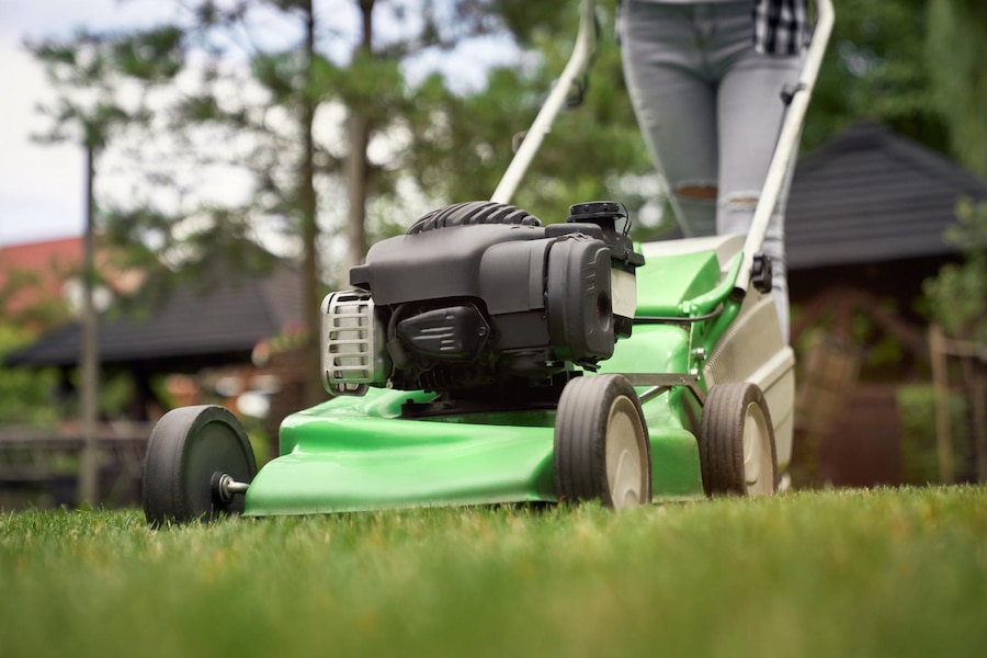 Expert Tips for Nashville Lawn Maintenance