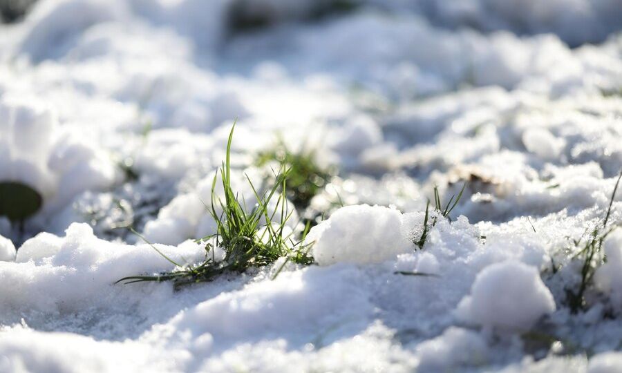 How to Prepare Your Nashville Lawn for Winter