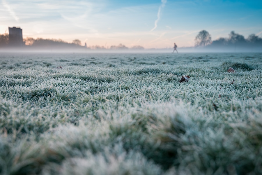 How to Prepare Your Lawn for Nashville Winter