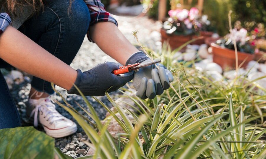 Best Landscaping Services for Nashville Homeowners