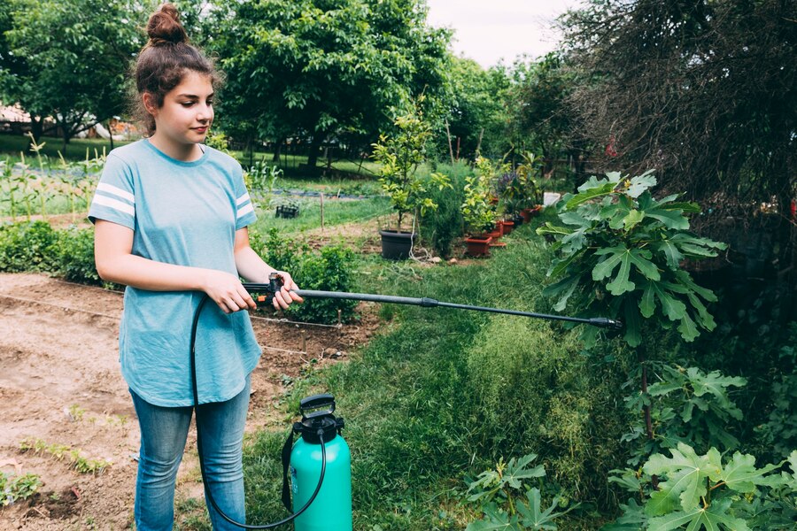 Water-Efficient Landscaping Ideas for Nashville Yards