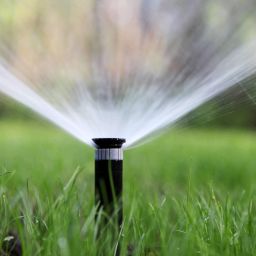 Best Practices for Nashville Lawn Watering: A Comprehensive Guide