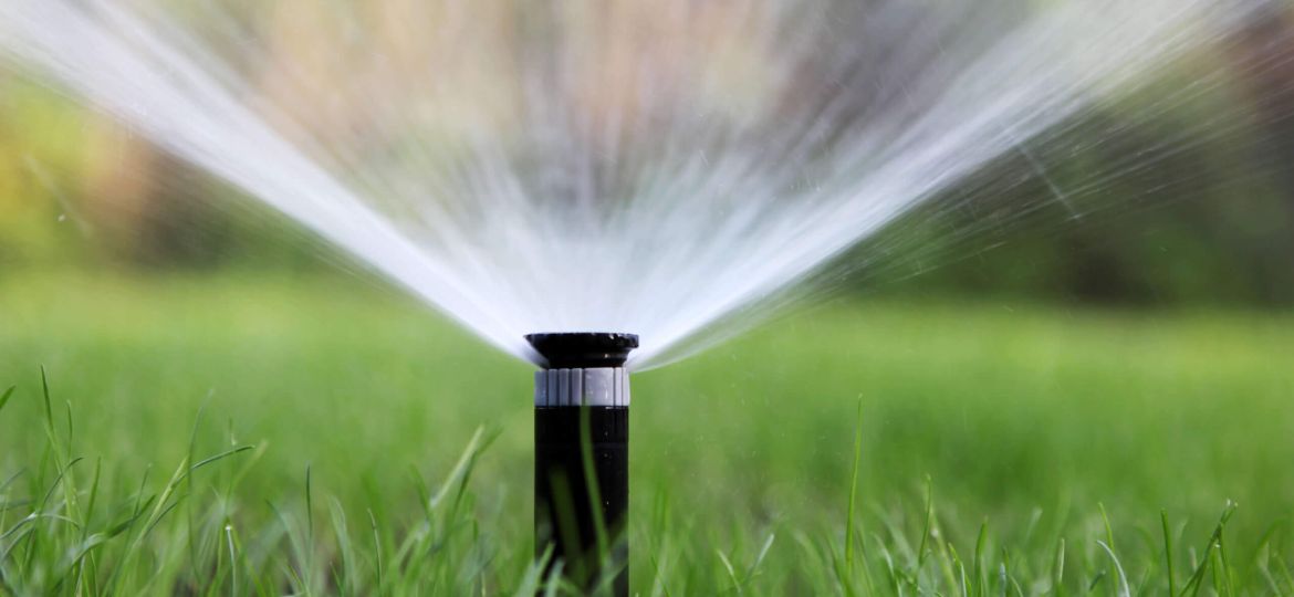 Best Practices for Nashville Lawn Watering: A Comprehensive Guide