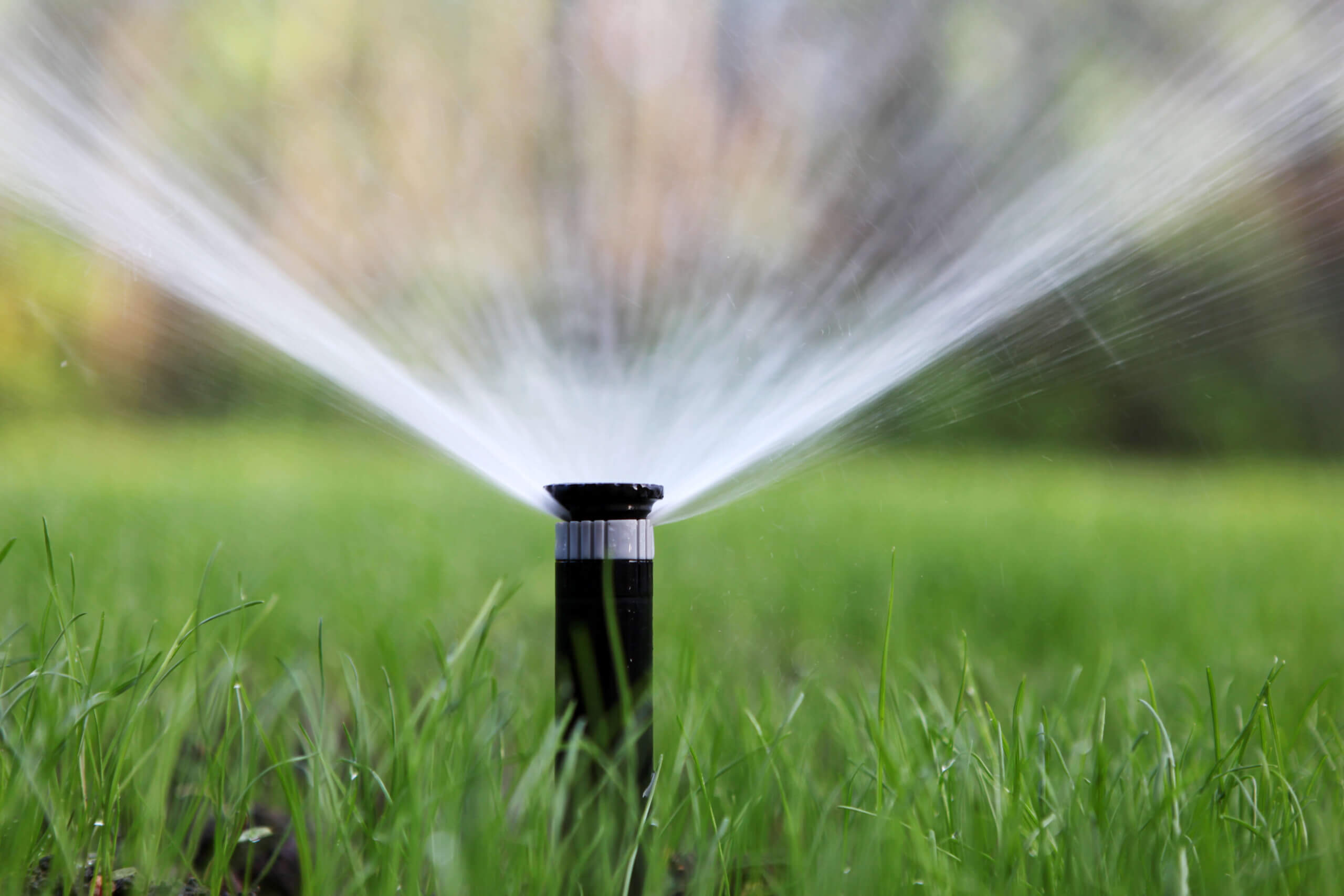 Best Practices for Nashville Lawn Watering: A Comprehensive Guide