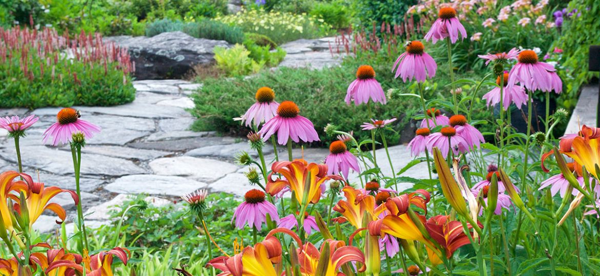 How to Design a Nashville Garden for Pollinators