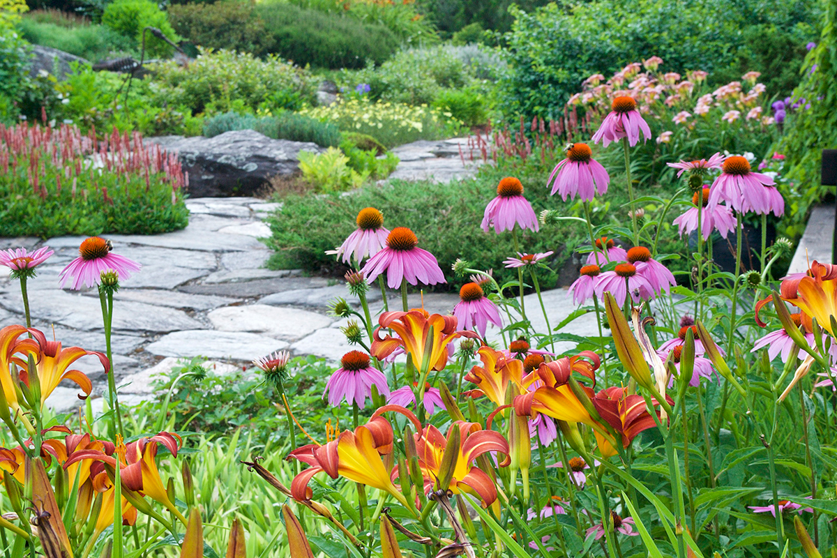 How to Design a Nashville Garden for Pollinators