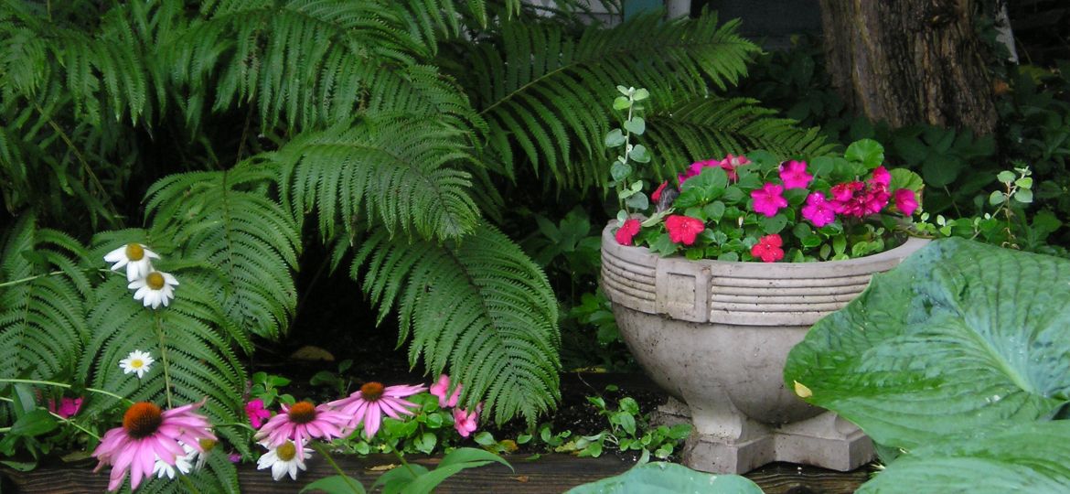 The Best Nashville Landscaping Plants for Shade