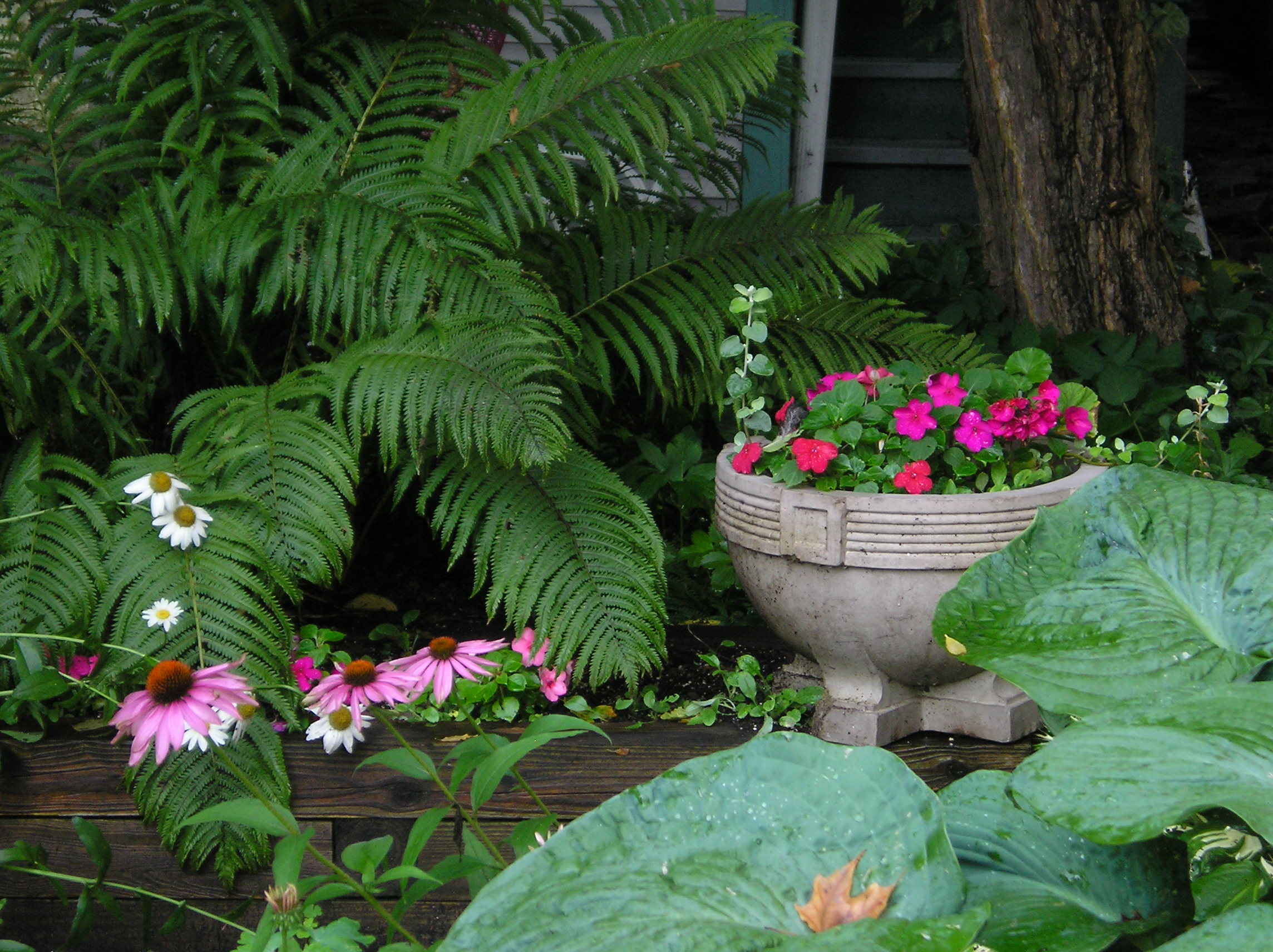 The Best Nashville Landscaping Plants for Shade