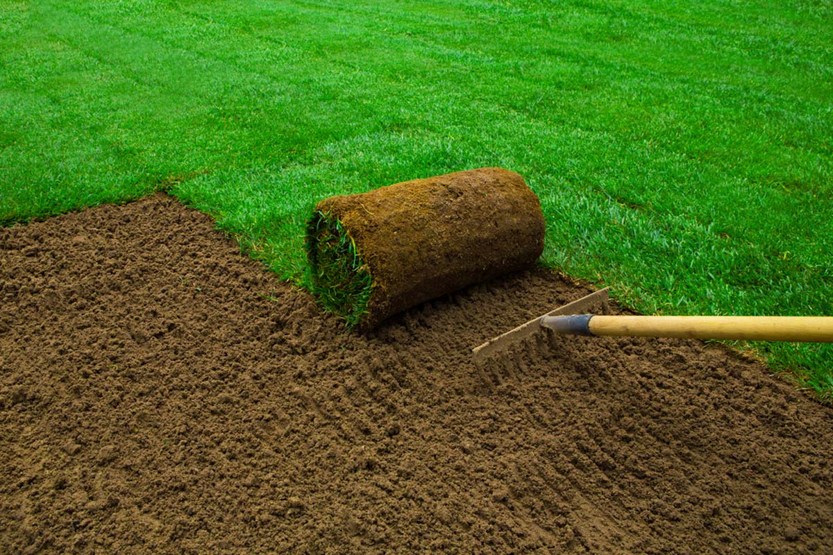 How to Choose the Best Sod for Your Nashville Lawn