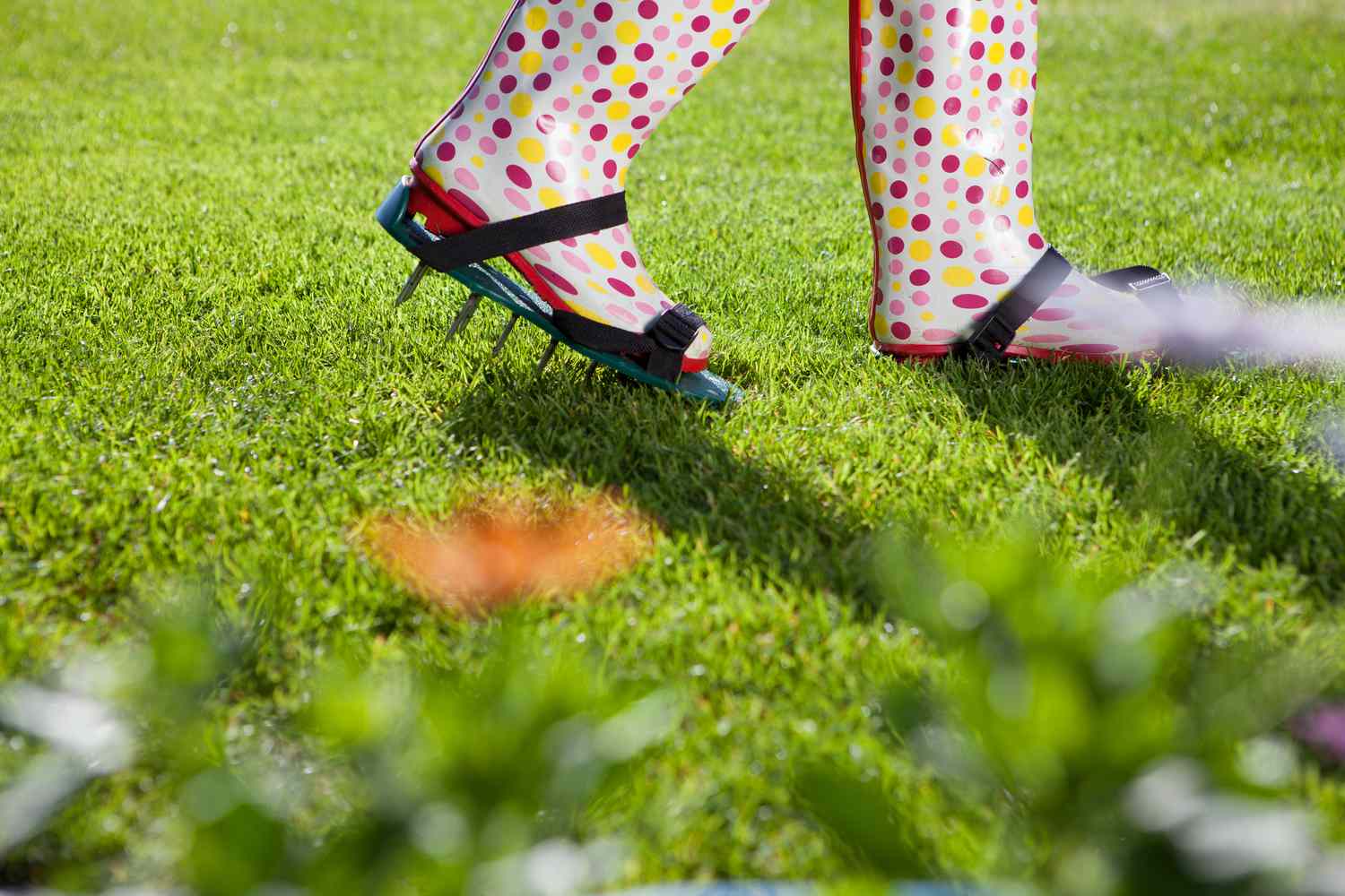 Expert Tips for Aerating Your Nashville Lawn