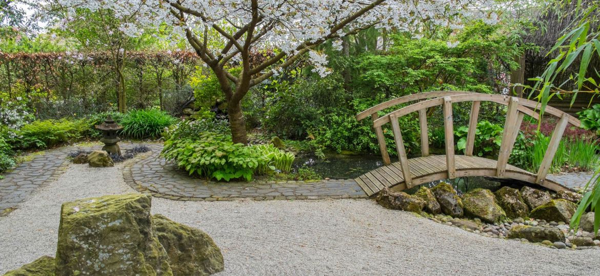 Creating a Zen Garden in Nashville