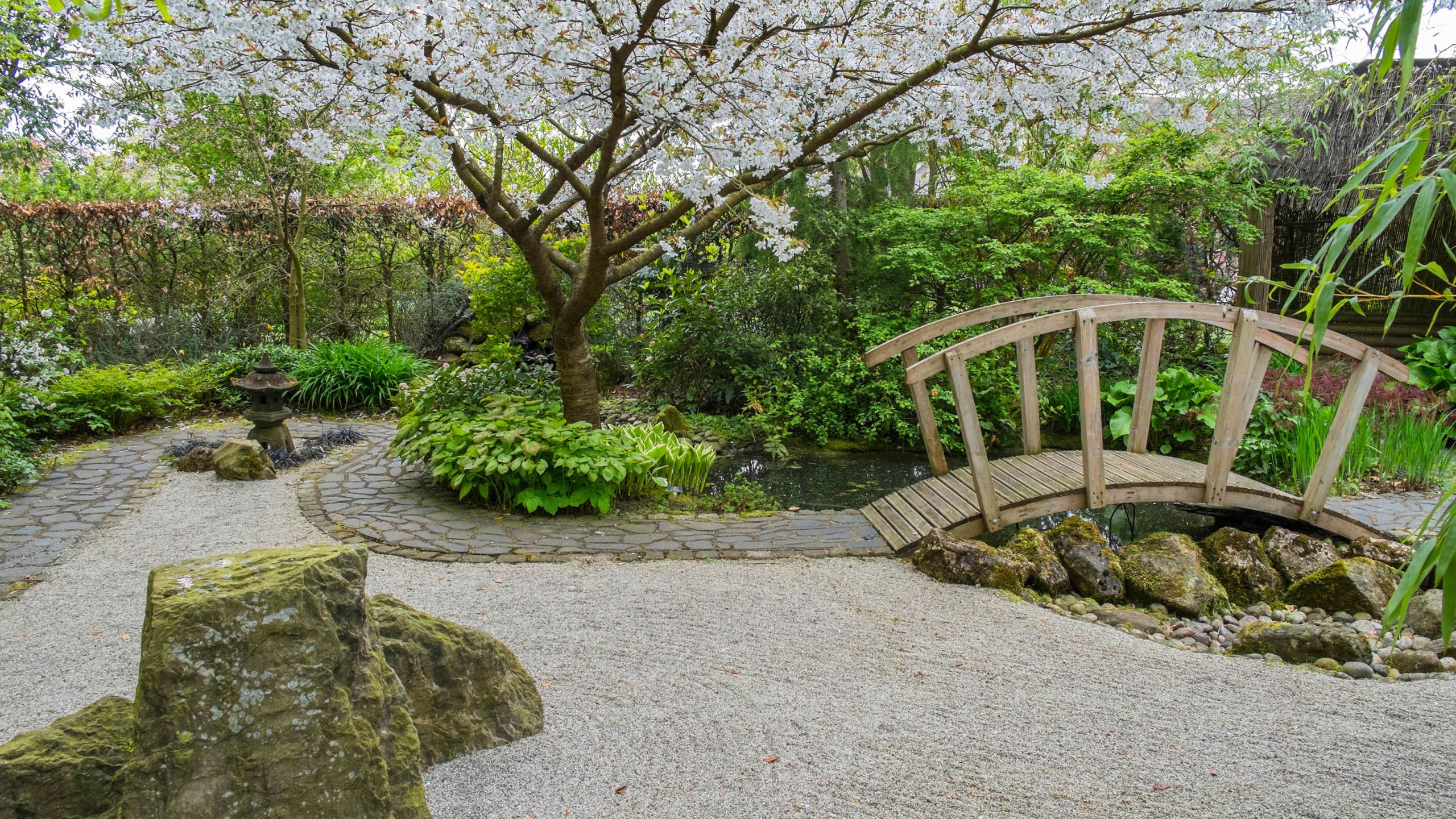 Creating a Zen Garden in Nashville