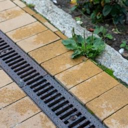 Landscape Drainage Solutions for Nashville Homes