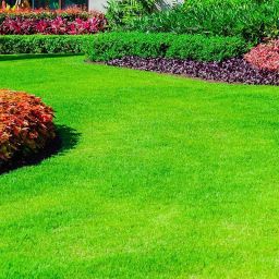 Expert Tips for Nashville Lawn Disease Prevention