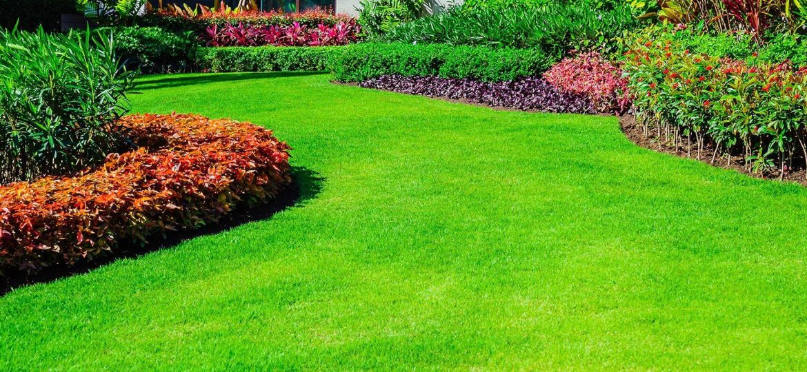 Expert Tips for Nashville Lawn Disease Prevention