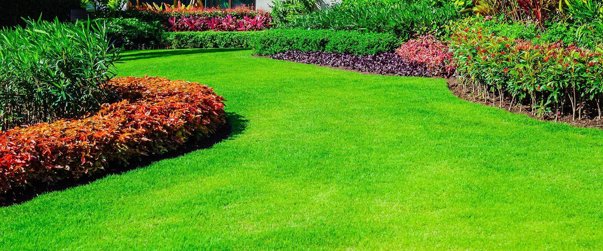 Expert Tips for Nashville Lawn Disease Prevention