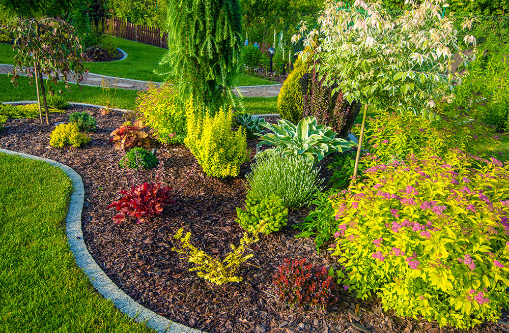 Top Landscaping Materials for Nashville Projects