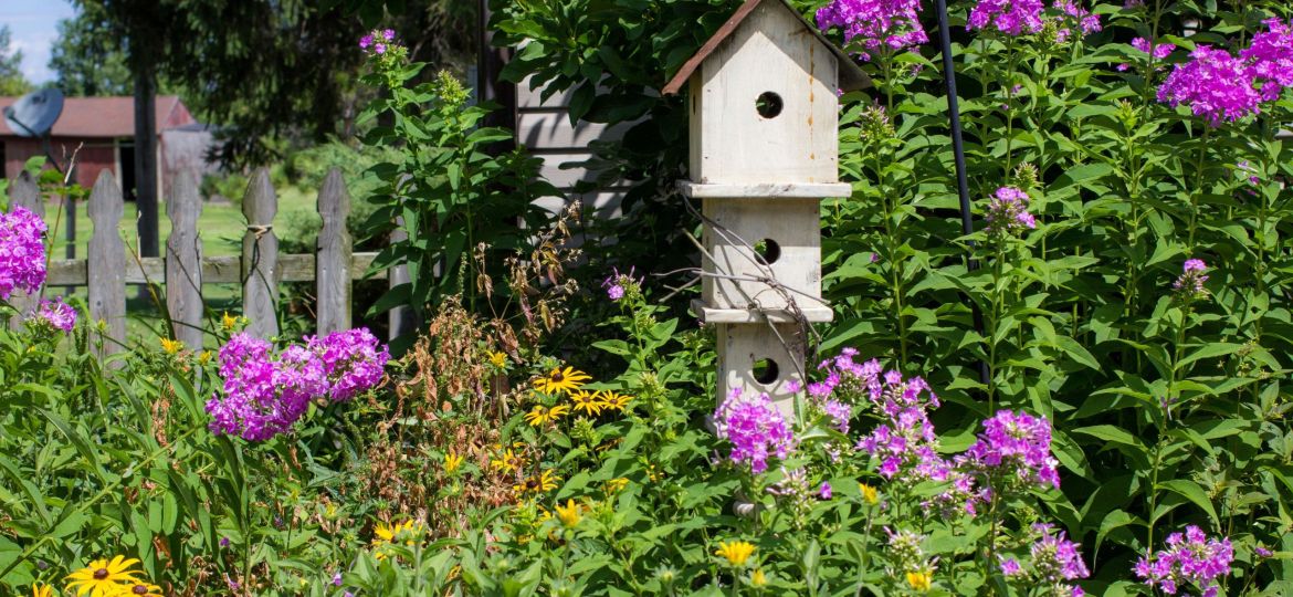 How to Design a Nashville Garden for Pollinators