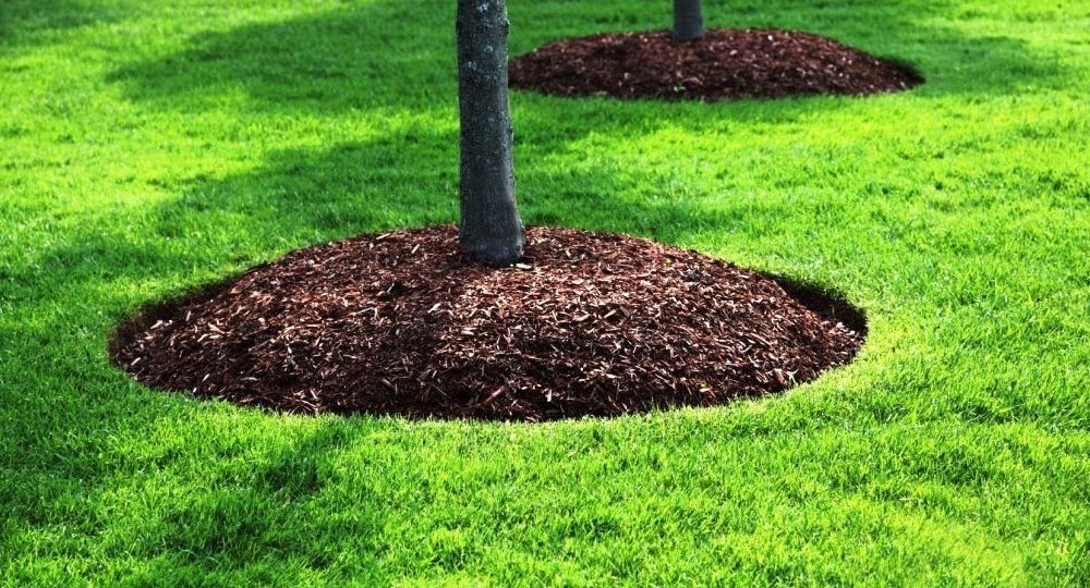 Benefits of Mulching for Nashville Gardens