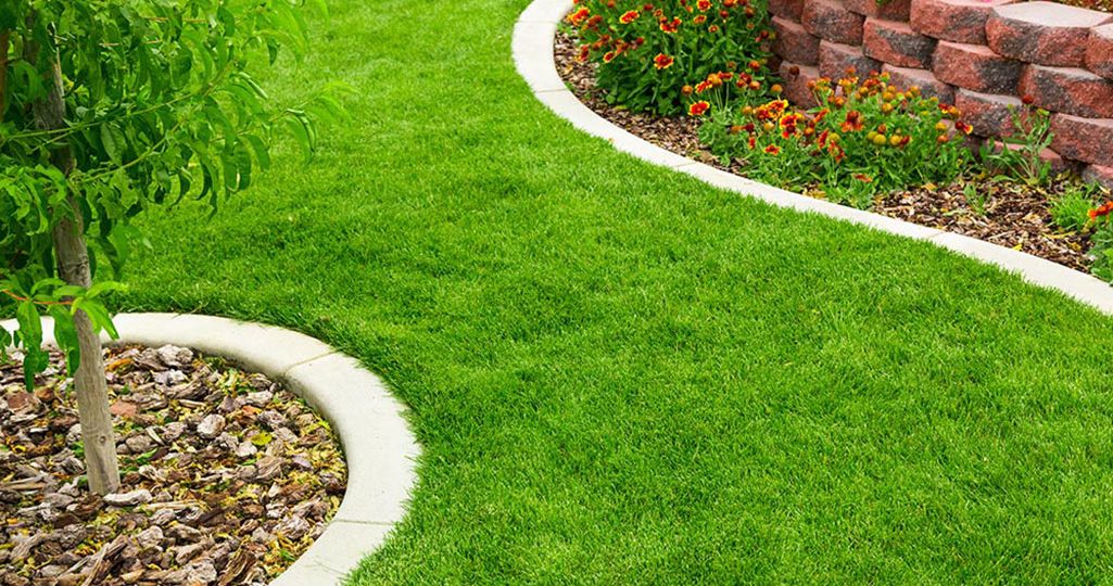 How to Choose the Best Sod for Your Nashville Lawn