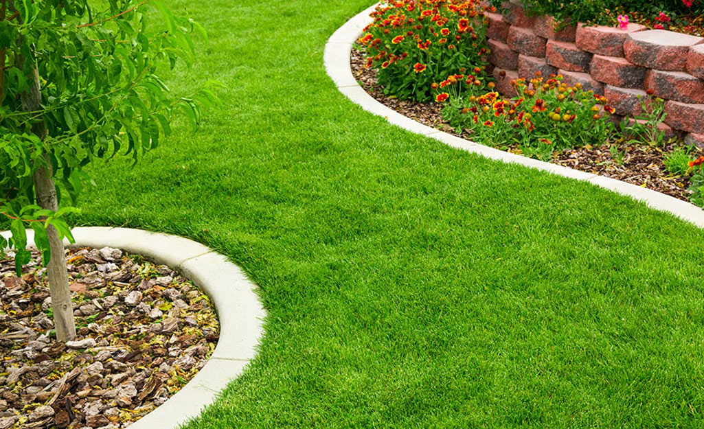 How to Choose the Best Sod for Your Nashville Lawn