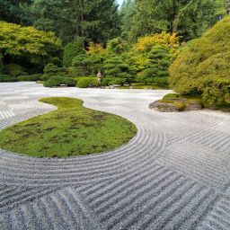 Creating a Zen Garden in Nashville