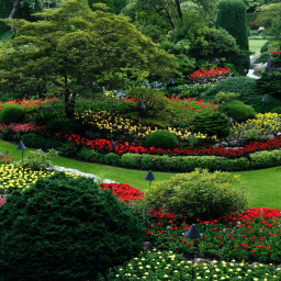 Best Landscaping Trees for Nashville Yards