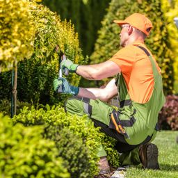 Top Landscape Maintenance Services in Nashville