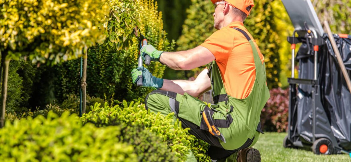 Top Landscape Maintenance Services in Nashville