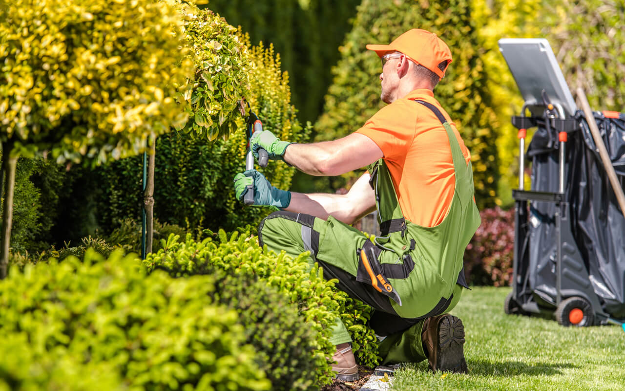 Top Landscape Maintenance Services in Nashville