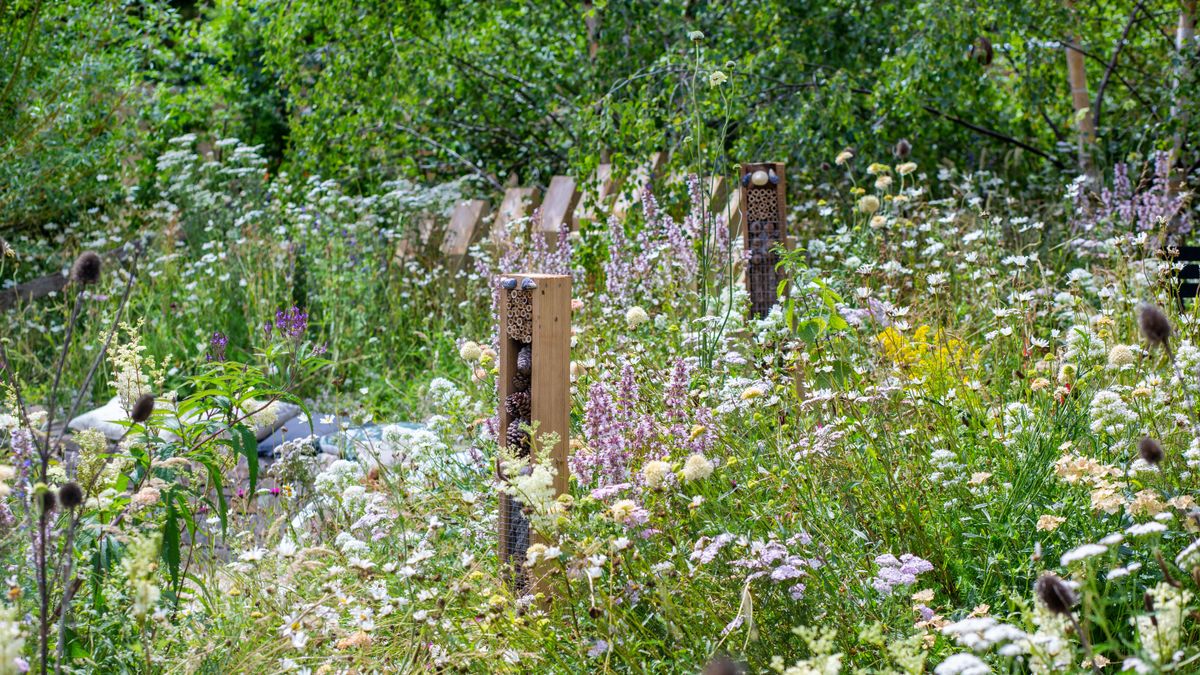 How to Create a Wildlife-Friendly Garden in Nashville