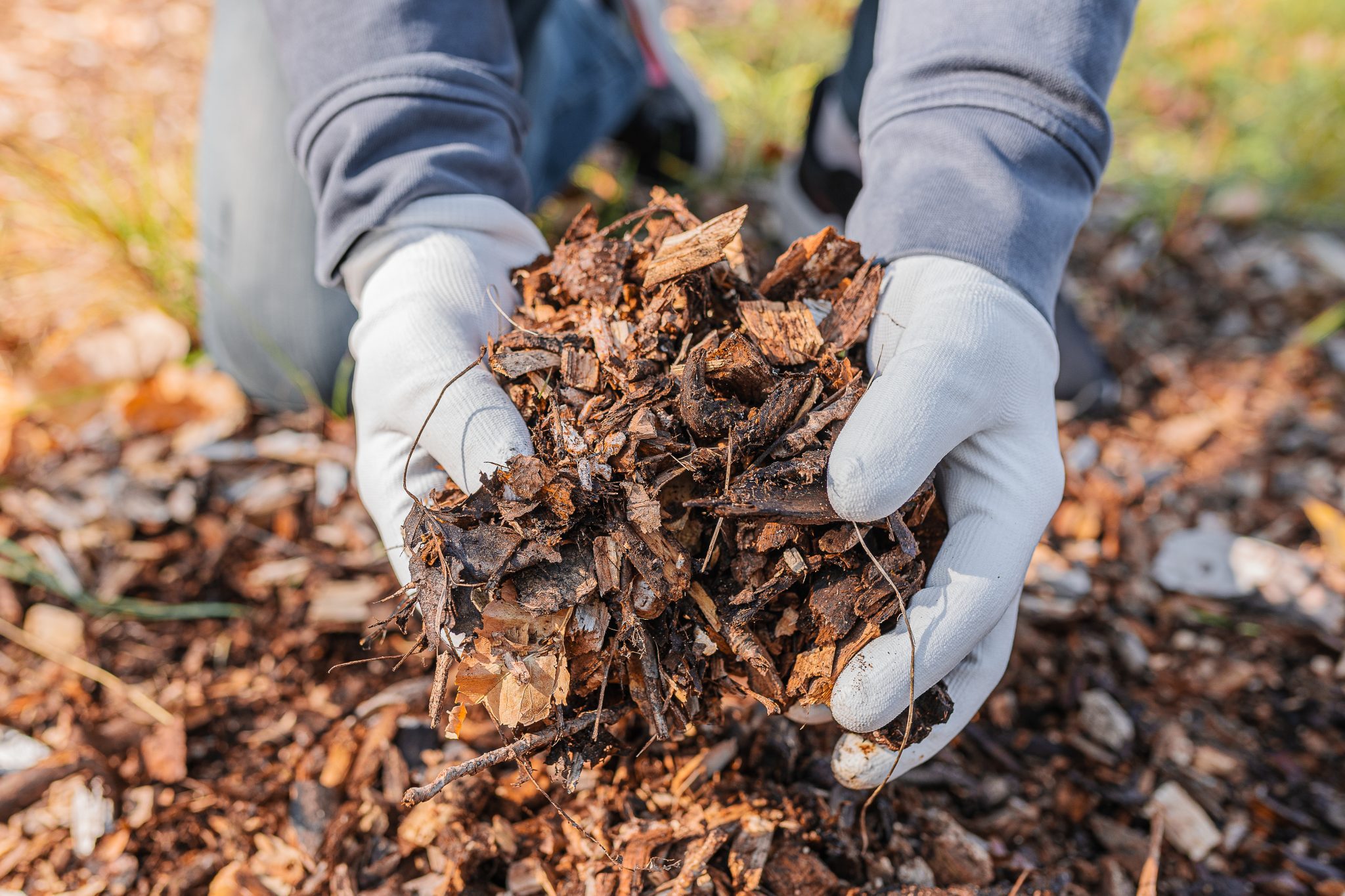 How to Choose the Right Mulch for Your Nashville Landscape