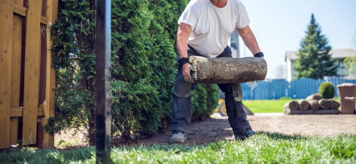 Top Landscaping Services in Nashville