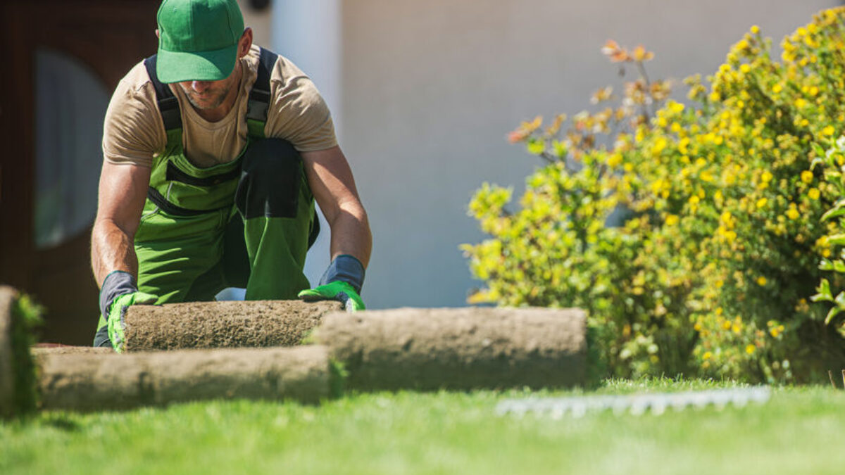 The Benefits of Hiring a Professional Landscaper in Nashville