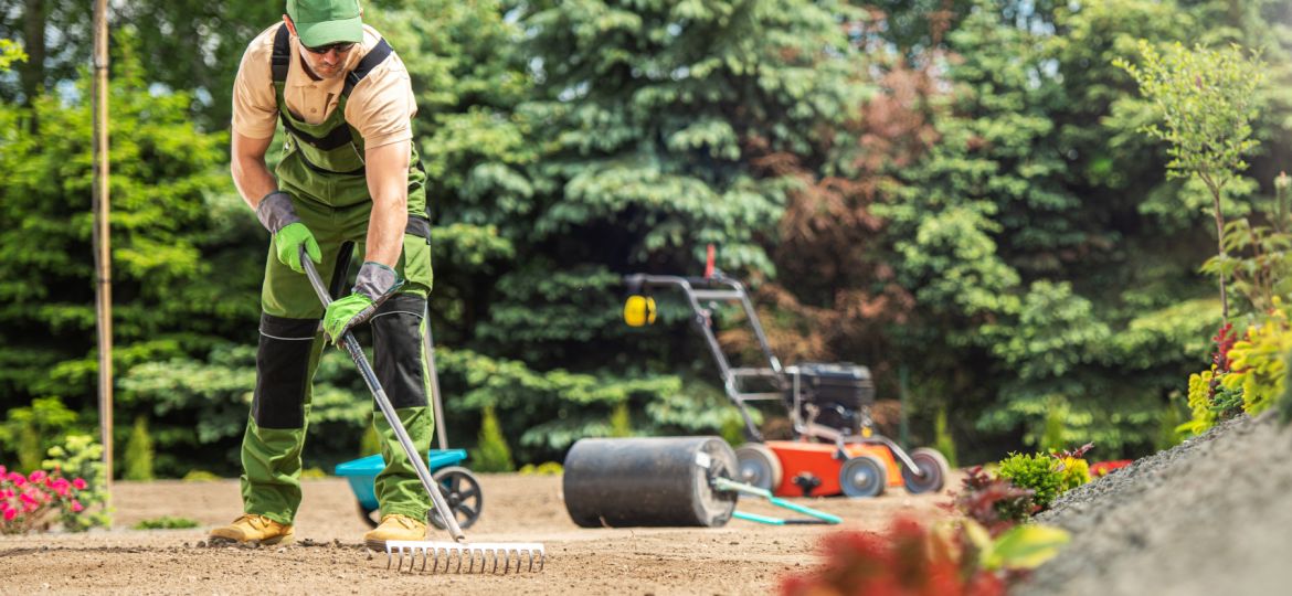 The Benefits of Hiring a Professional Landscaper in Nashville