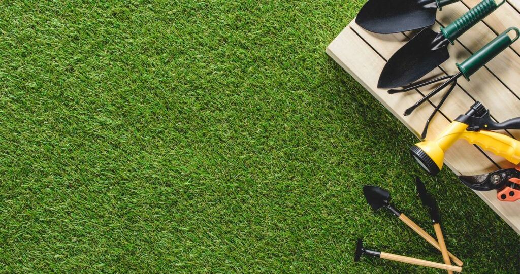 Best Lawn Care Tools for Nashville Homeowners