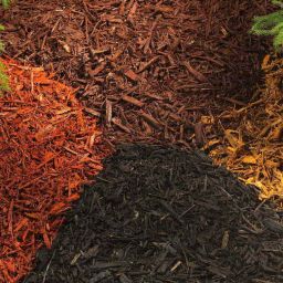 How to Choose the Right Mulch for Your Nashville Landscape