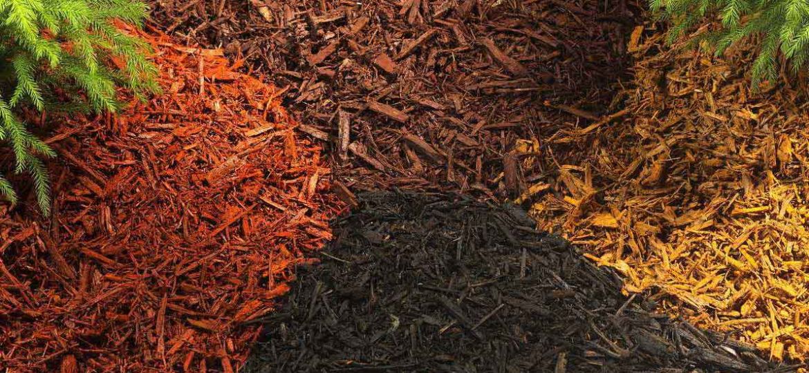 How to Choose the Right Mulch for Your Nashville Landscape