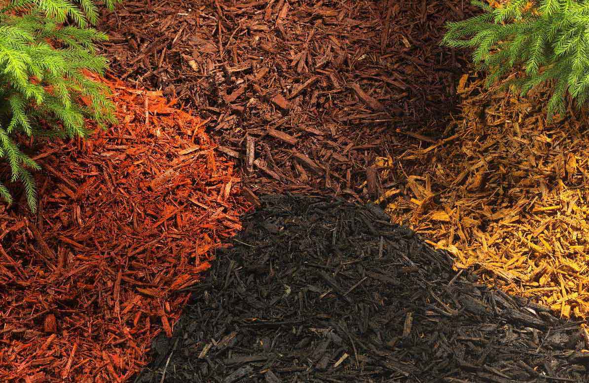 How to Choose the Right Mulch for Your Nashville Landscape