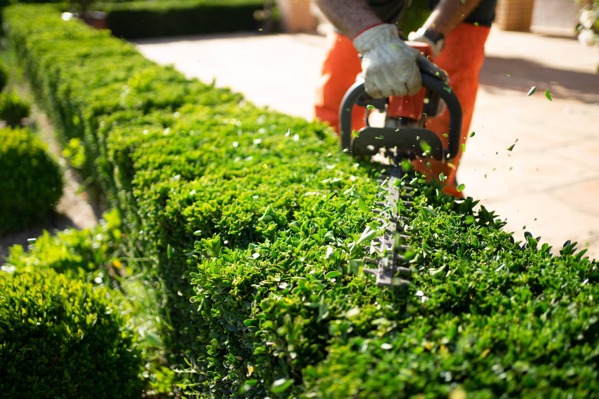 Top Landscape Maintenance Services in Nashville