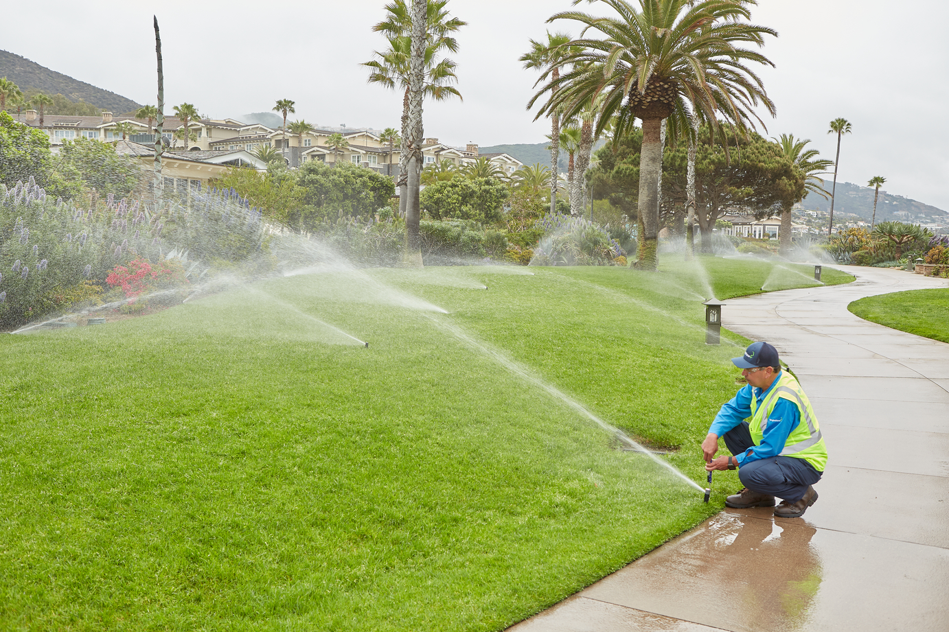 Water-Efficient Landscaping Ideas for Nashville Yards