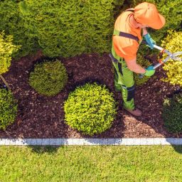 How to Create a Low-Maintenance Landscape in Nashville