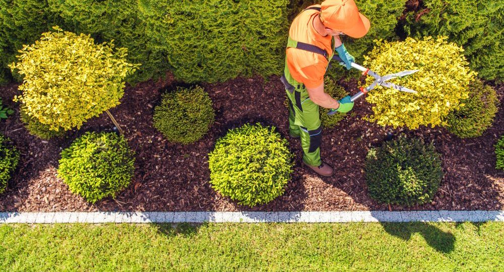 How to Create a Low-Maintenance Landscape in Nashville