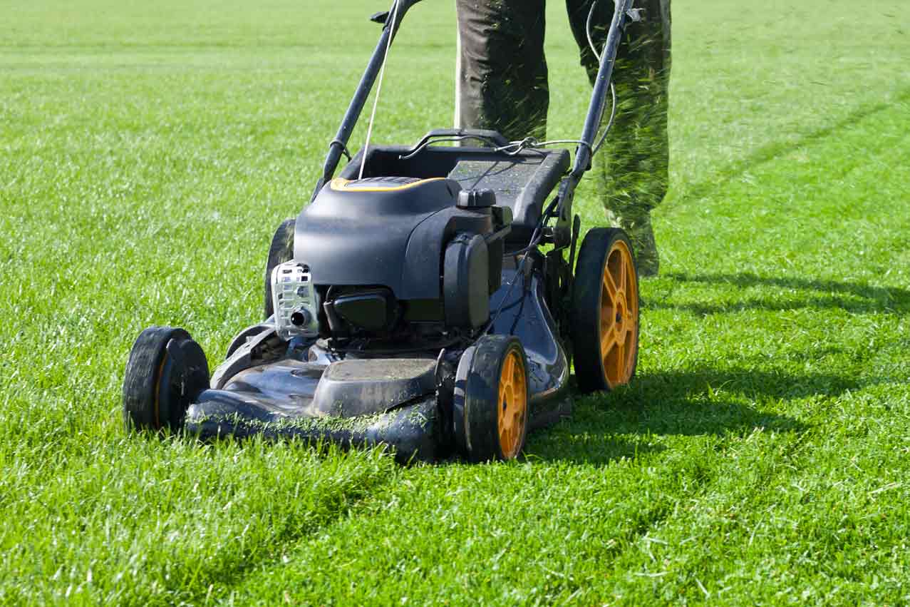 Top-Rated Lawn Care Services in Nashville