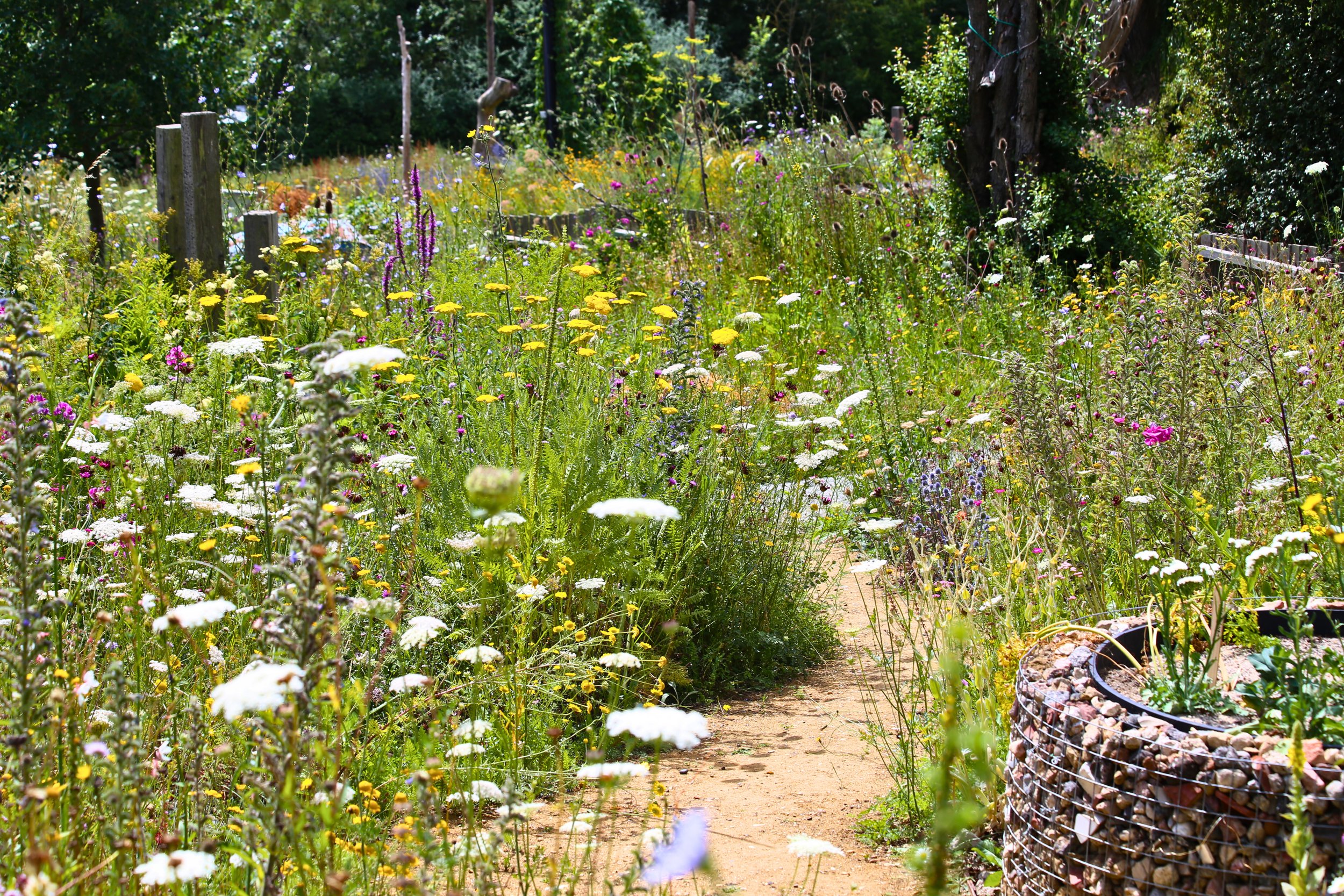 Sustainable and Wildlife-Friendly Landscaping in Nashville